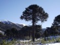 /album/reseva-malalcahuello-trekking-trail-running/dscf7715-jpg/