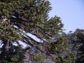 /album/reseva-malalcahuello-trekking-trail-running/dscf7717-jpg/