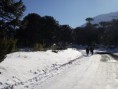 /album/reseva-malalcahuello-trekking-trail-running/dscf7718-jpg/