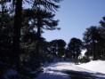 /album/reseva-malalcahuello-trekking-trail-running/dscf7728-jpg/