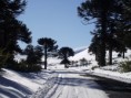 /album/reseva-malalcahuello-trekking-trail-running/dscf7730-jpg/